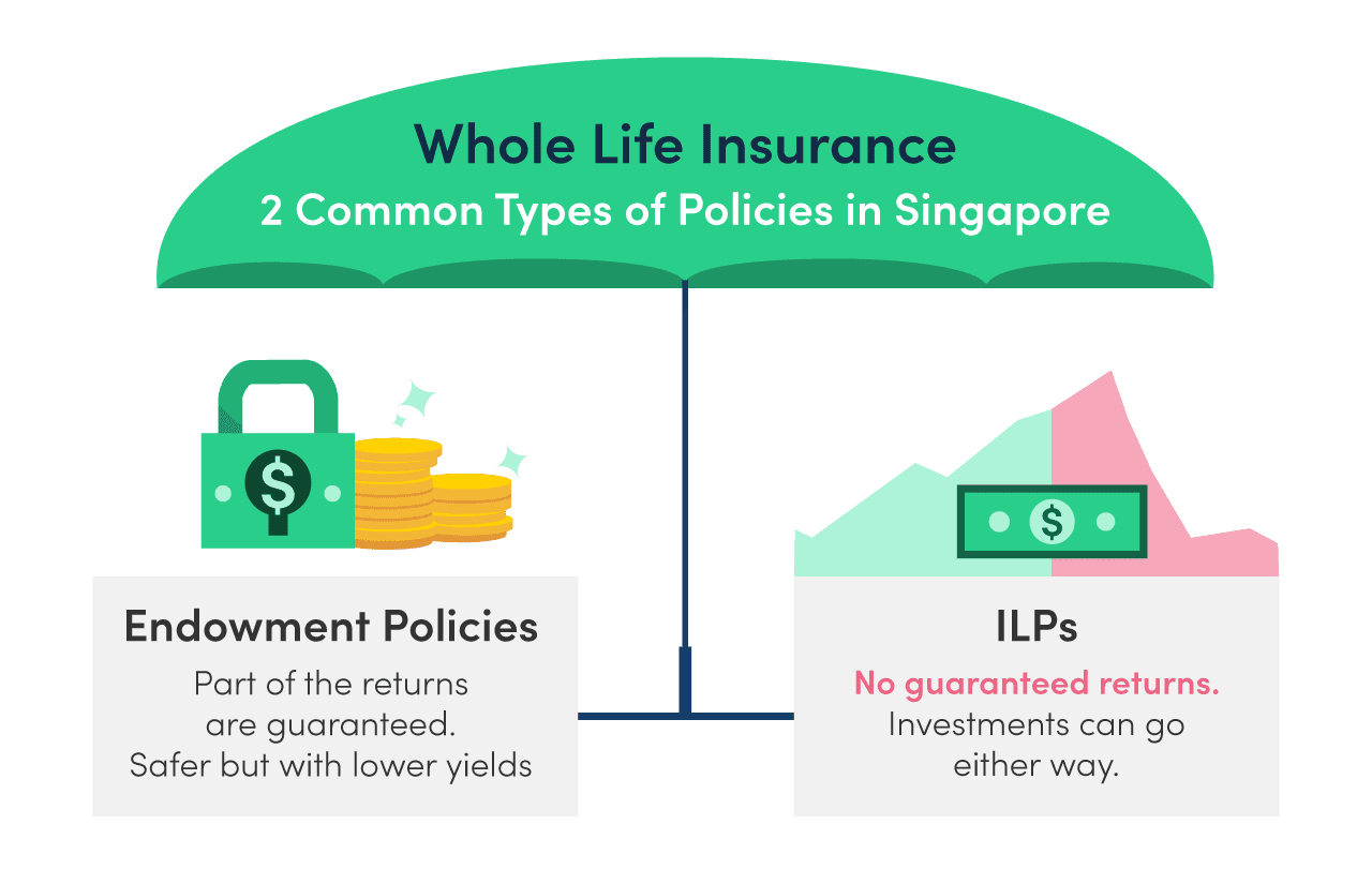  Illustration of the difference between endowment plans and investment linked policies