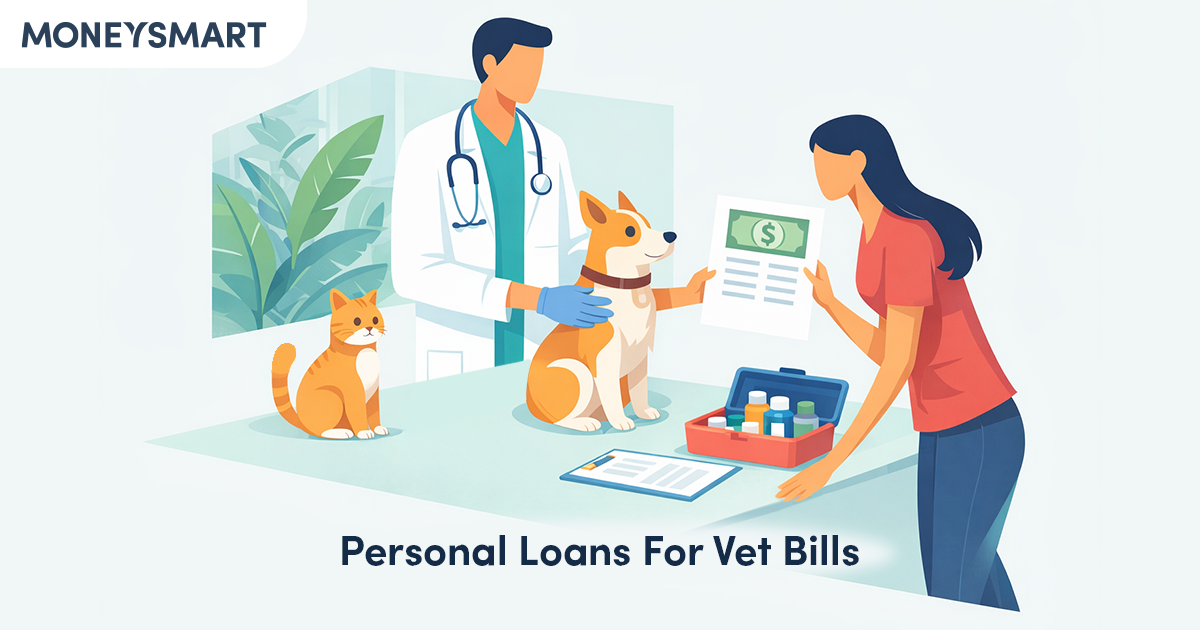 Personal Loan for Vet Bills in Singapore: What it Means and Who Can Apply